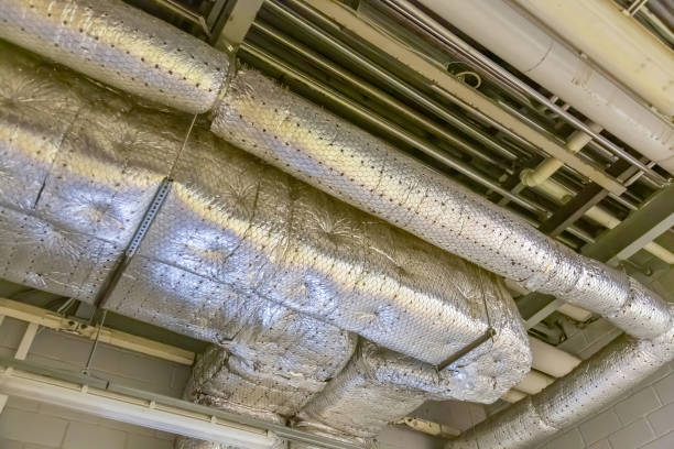 Best HVAC Duct Inspection Services  in Cheswold, DE